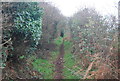 Footpath to Woodlands Farm