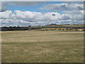 NZ0065 : Farmland north of Aydon Road by Mike Quinn