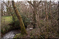 A stream near Newton Tracey which leads to Langham Lake