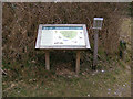 TM4671 : Information Board in Dunwich Forest by Geographer