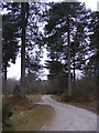 TM4671 : Picnic Area in Dunwich Forest by Geographer