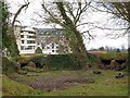 Site of WWII anti-aircraft battery, Celtic Manor Resort, Newport