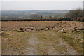 Ploughed field