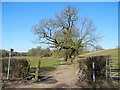 Ladybrook Valley Interest Trail