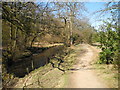 Ladybrook Valley Interest Trail, Lady Brook