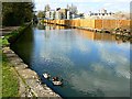 River Gade and Grand Union Canal, Nash Mills Lane, Hemel Hempstead