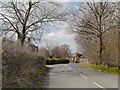 Bow Lane, Approaching Bowgreen Farm