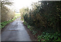 Cat Lane towards stream bridge