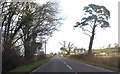 Cooks Lane at Spire Hill Farm