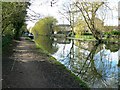 Grand Union Canal, opposite Swan Mead, Hemel Hempstead (1 of 3)