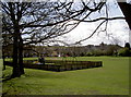 Playground at the back of St Nich