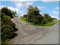 Lane to Tir-croes Bleddyn Farm  east of Trevethin, Pontypool