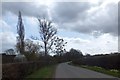 The road to Kempley