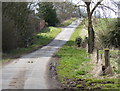 Washdyke Road at Owston Grange