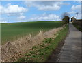 Farmland along Washdyke Road