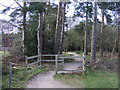 Path into Cannock Chase