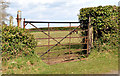J5264 : Gate and ivy hedge, Reagh Island by Albert Bridge