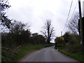 Rectory Road & footpaths to Ling Road & Angles Way