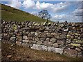 Varied geology in a drystone wall