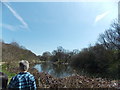 View across Heronry Pond