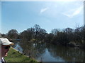 View across Heronry Pond #2