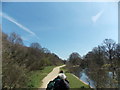 View of the path skirting Heronry Pond #2