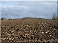 Ploughed field, Mayfield Farm