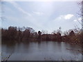 View across Perch Pond