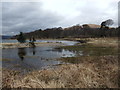 Strachur Bay