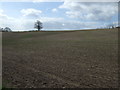 Farmland, Ivy Bank Farm