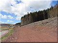 Cleared forestry land near Pont ar Daf