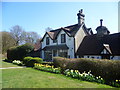 Daffodil time at Duddleswell Tea Rooms