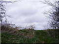 TM0878 : Footpath off Magpie Hill by Geographer