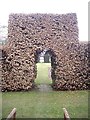 NZ1818 : Beech Hedge arch by Stanley Howe