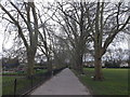 Path towards Fulham Palace Road