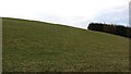 Steep grass, Mill of Foulis