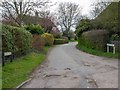 Bridle Way, Grantchester