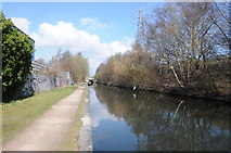SP0482 : The Worcester and Birmingham Canal, Selly Oak by Philip Halling