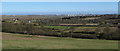 View of Thames Estuary from Langdon Hills Country Park