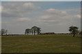 TF2890 : Grassland behind Manor Farm by Chris