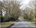 Jermyns Lane near Ganger Farm