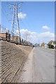 Pylons beside the Worcester and Birmingham Canal