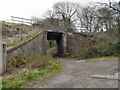 SJ9493 : Railway bridge near Apethorn Lane by Gerald England