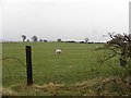 Aghnamirigan Townland