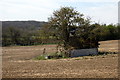 Tree and shelter amid the arable field