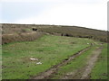 The track to Carn Brea