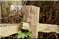 Fence, Crawfordsburn (2)