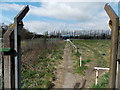 Path to a disused football stand, Langditch Lane, Newport