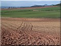 Arable farmland near Bettyfield