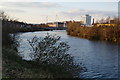 The River Taff from the Taff Embankment